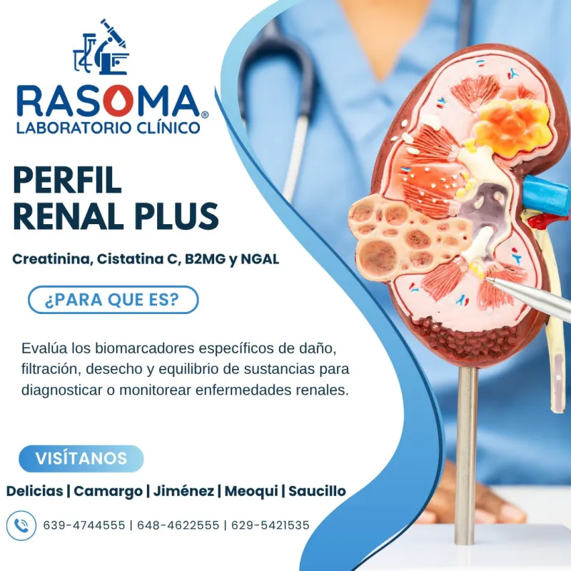 Perfil Renal Plus (Creatinina, Cistatina C, B2MG y NGAL)