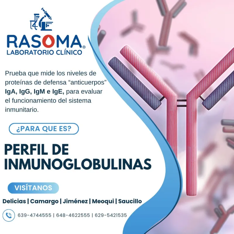 Perfil de Inmunoglobulinas (IgA, IgG, IgM, IgE)